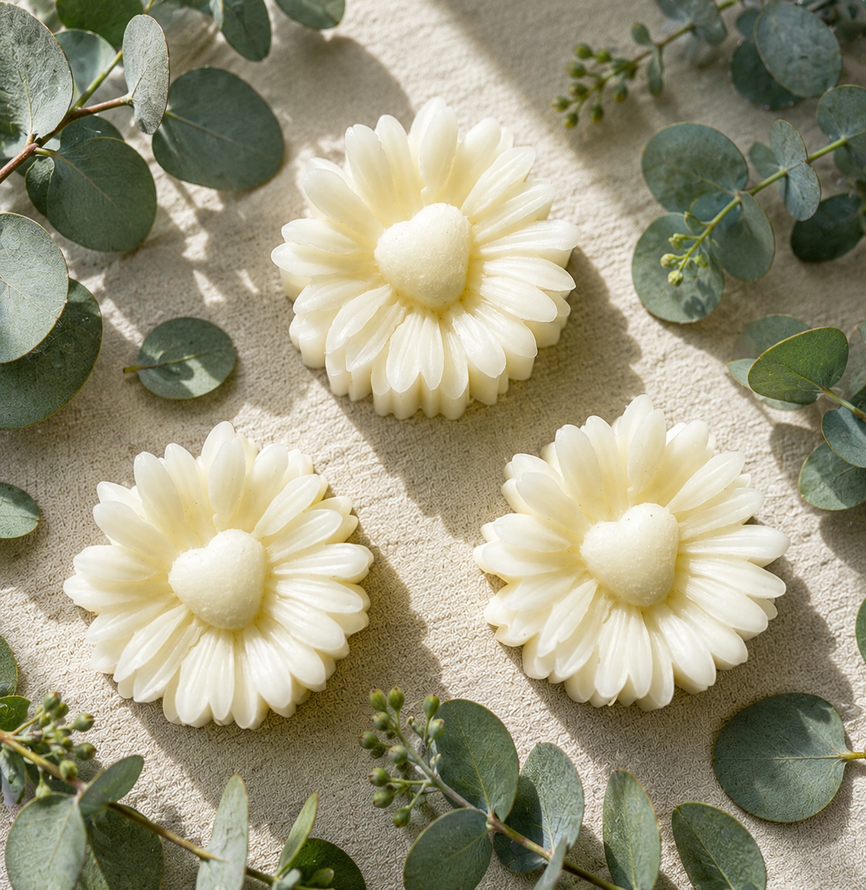 Daisy Beeswax Wax Melts  | Phthalate-Free Fragrance| 3-PK